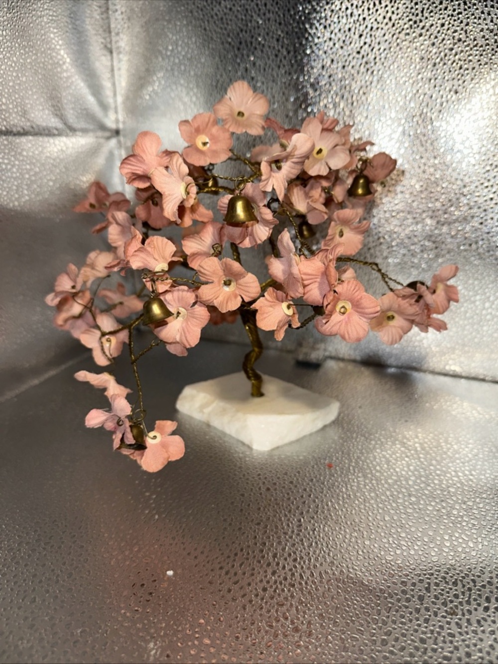 Prosperity Bonsai cherry blossom tree